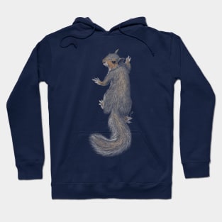 Gray Squirrel Hoodie